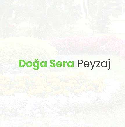 logo_block